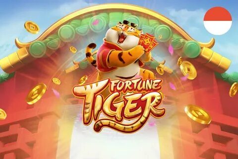 716 bet app 