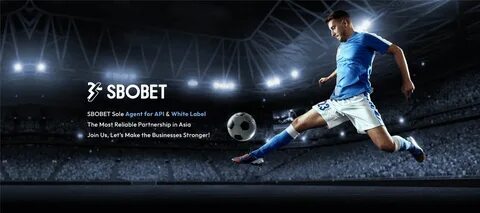 aviator 7games 