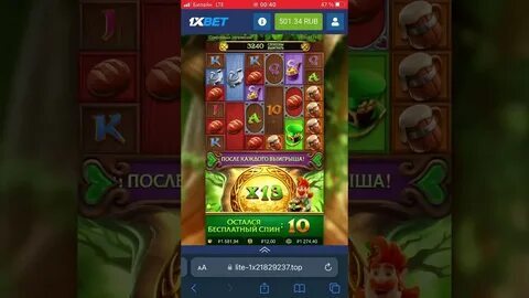 fortune tiger msm 