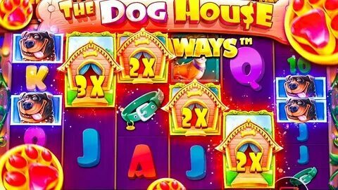 slots win44 plataforma 